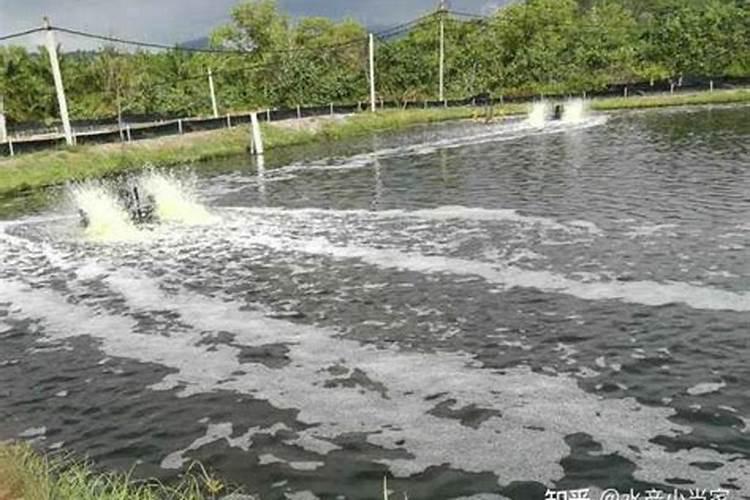 水太肥是怎么引起的,有什么解决办法