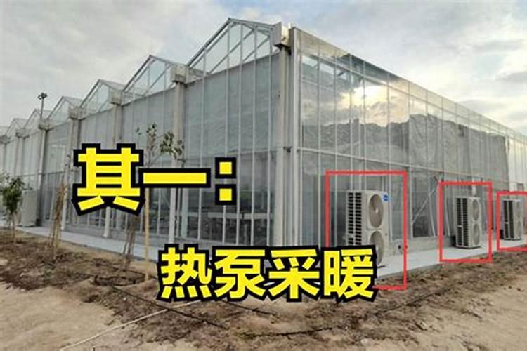 冲施肥冲施肥使用技巧