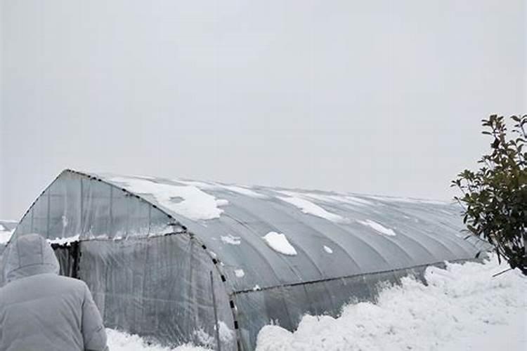 冲施肥冲施肥使用技巧