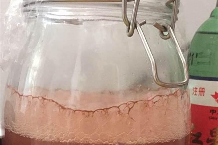 鱼蛋白自制配方比例