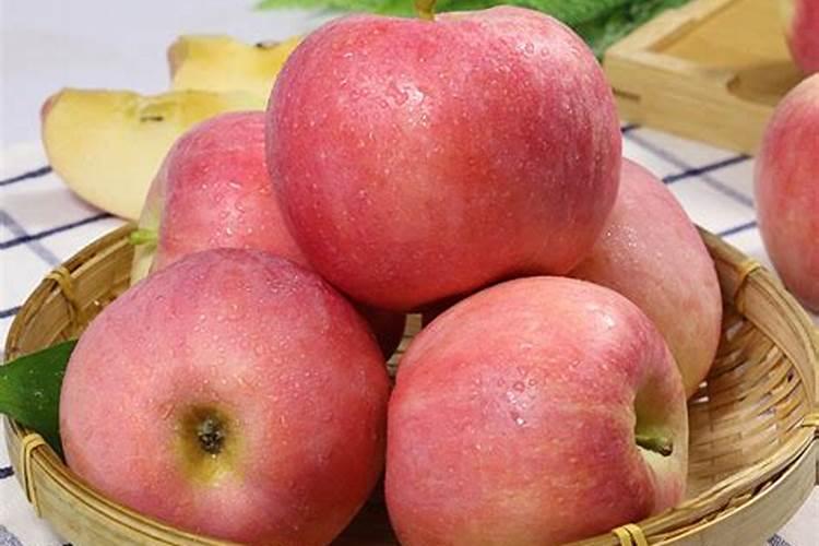 玉米需要什么样的含量肥料