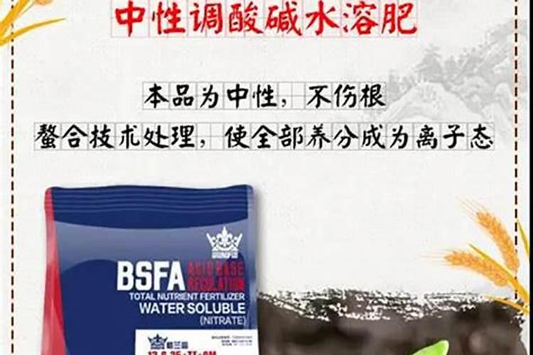 如何用芸苔素拌玉米种