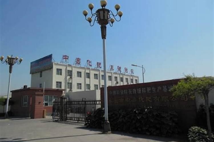 桃树一年打药顺序及用什么药