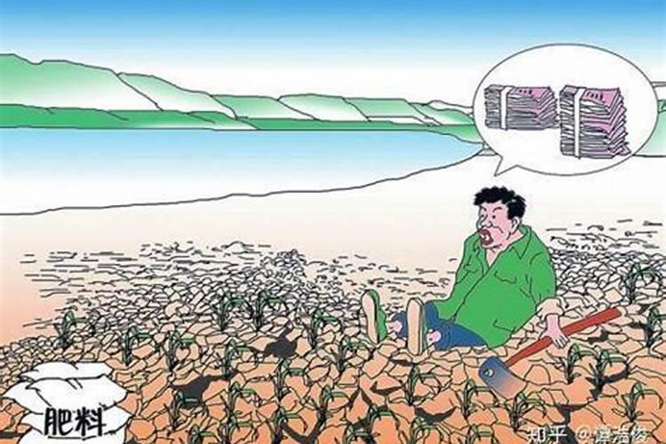 肥料含量少一半怎么处罚