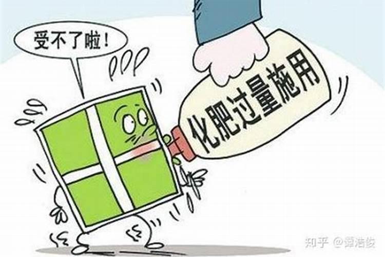 生产、销售伪劣农药、兽药、化肥、种子罪立案标准是什么