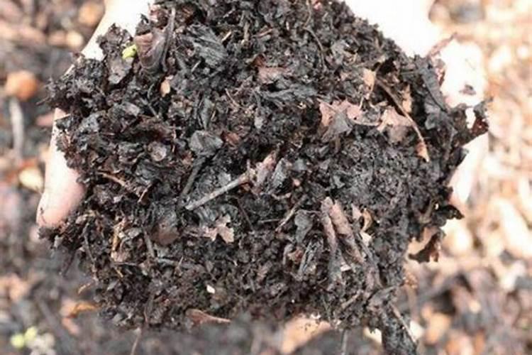 罗汉果点完花之后撒什么肥料