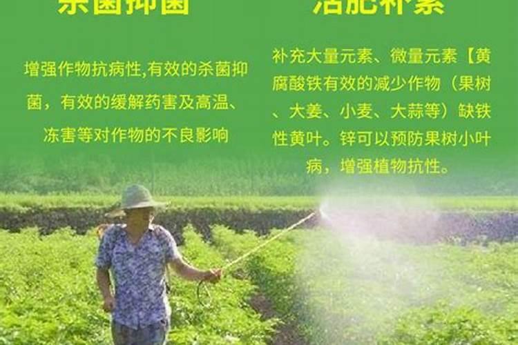 18419水溶肥配方