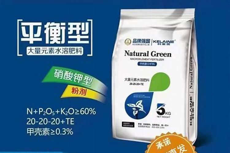 西红柿花期能喷施叶面肥吗