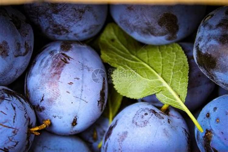 科右前旗都有哪些企业