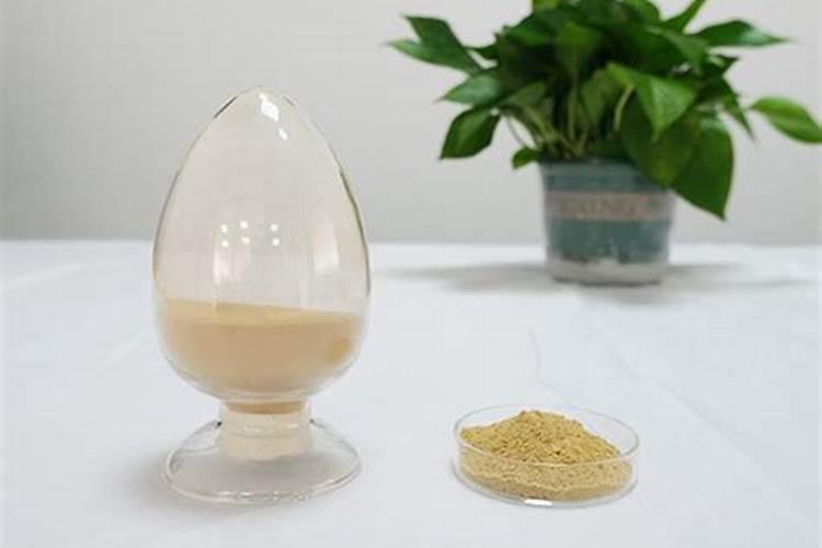 意面酱哪个牌子好吃 正宗意面酱品牌排行前10名