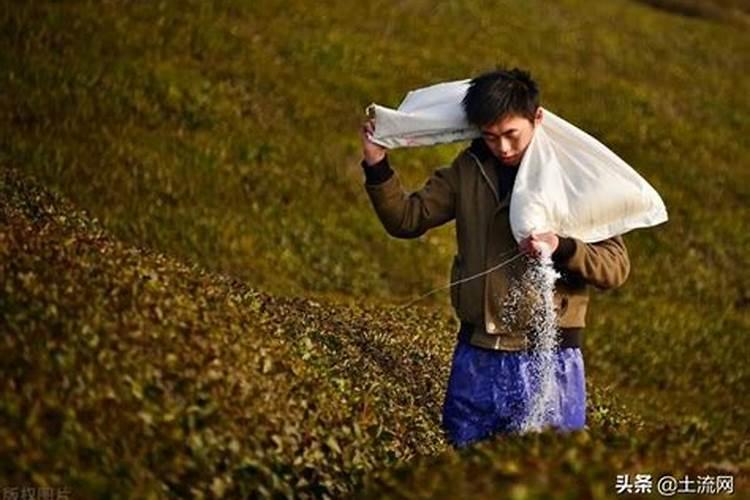 棉花的产地在哪里？