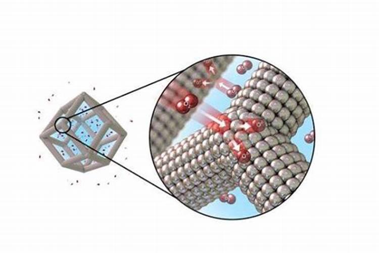 氮肥可以兑水浇花吗