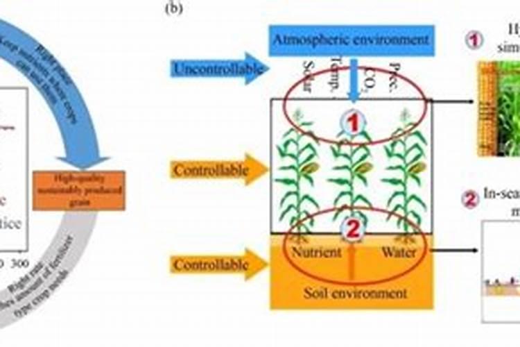 如何提高氮肥磷肥钾肥的利用率 提高氮肥磷肥钾肥的利用率方法