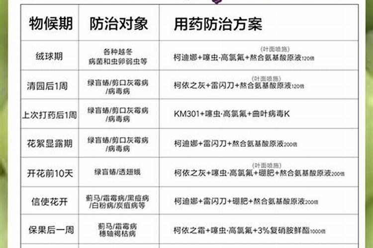 葡萄树叶面肥有哪些？不同时期叶面肥的运用？