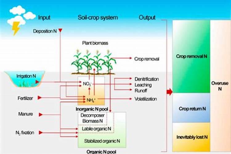 雨停后可以马上打农药