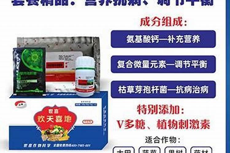 蒜苗用什么叶面肥