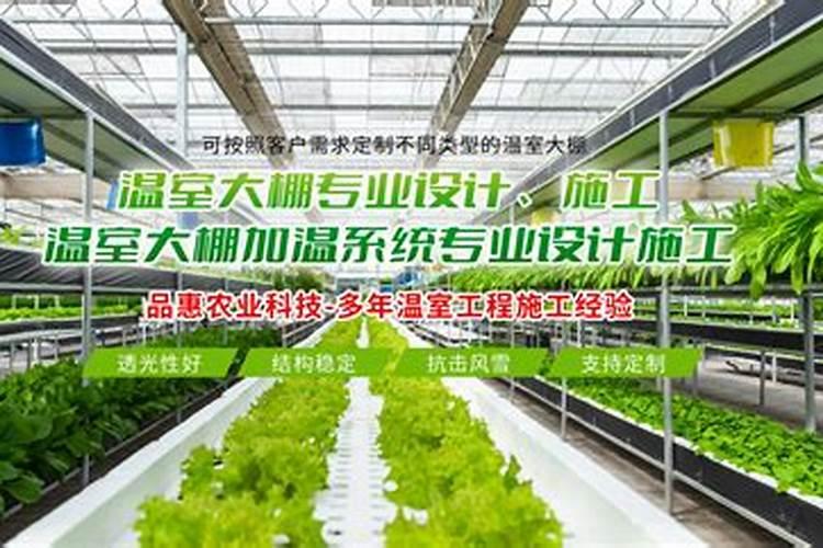 蒜苗适合用什么叶面肥