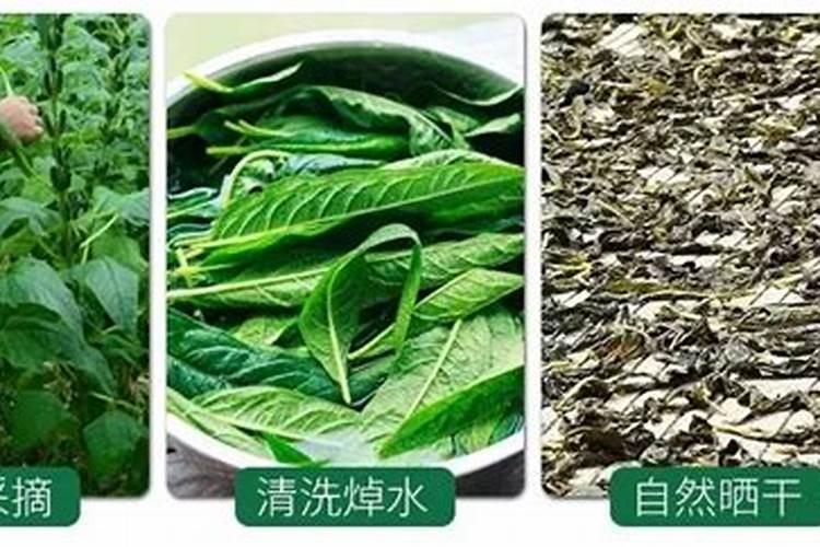 芝麻开花期间有哪些相关管理技巧？