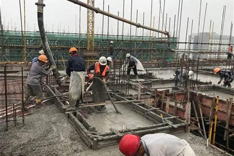 西瓜发芽了怎么种植