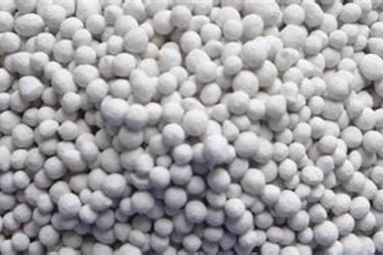 君子兰最怕三种水,烂根又生虫都和它有关,别忽视