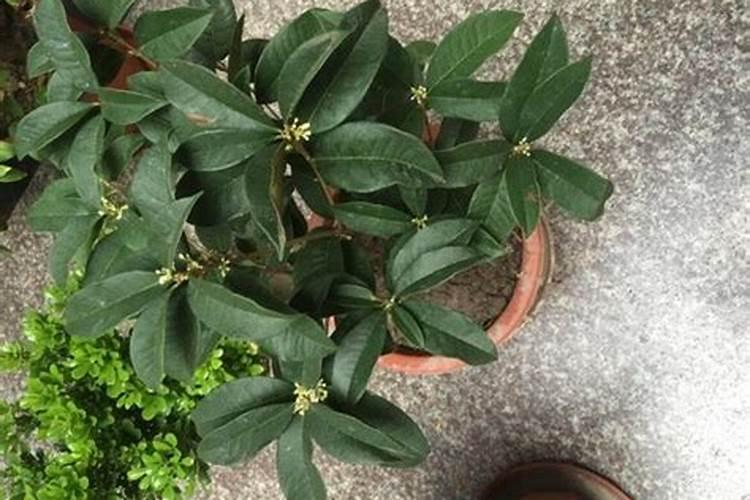 哈萨克斯坦缺水泥吗