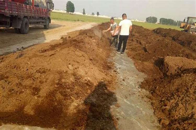 草莓多久施肥一次