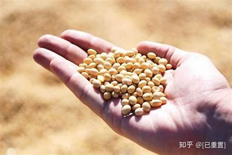 碗莲水溶肥的使用方法