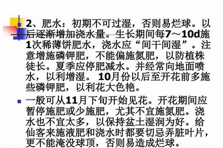 桔子树什么时候剪枝最好