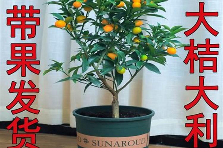 丰民同和肥料介绍