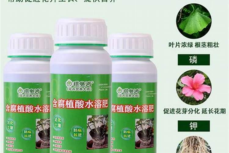 复合肥可以浇三角梅吗