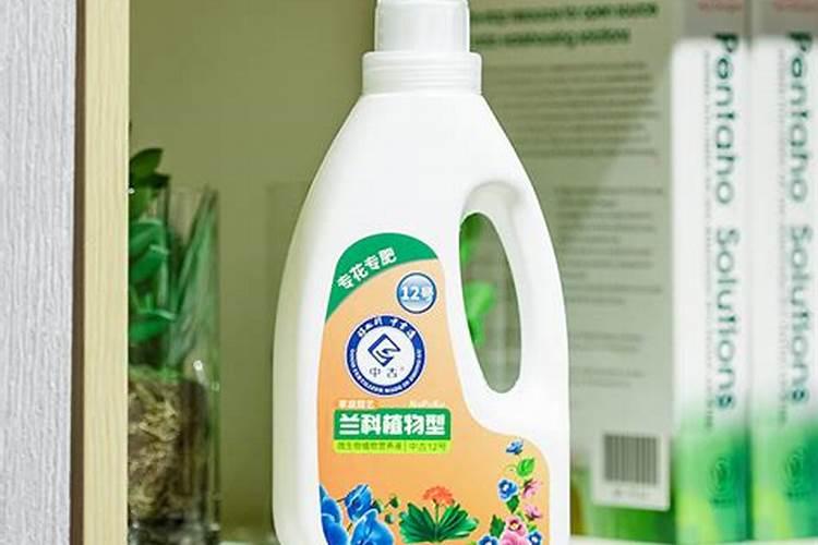 新上盆兰花多长时间可浇中古12号