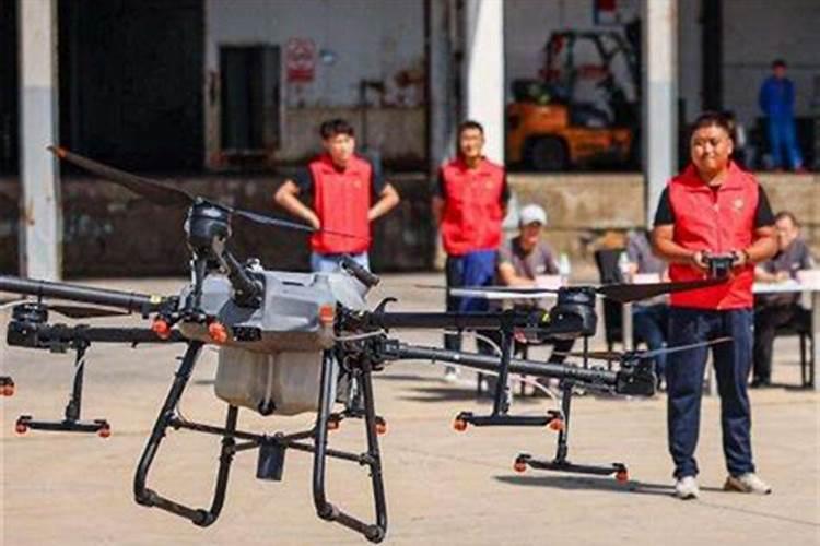 梨树叶面肥用那一种肥？能防果树缺它所需要的养份和病虫害？