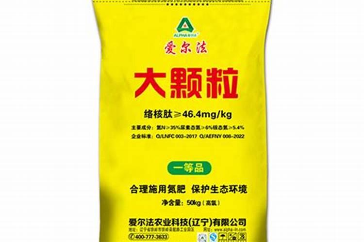 宫灯核桃打药和没打药的区别