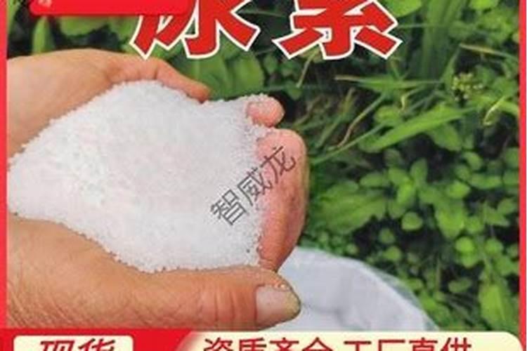 30种垃圾最值钱它们可以用来种花不用施肥叶子也不会变黄!