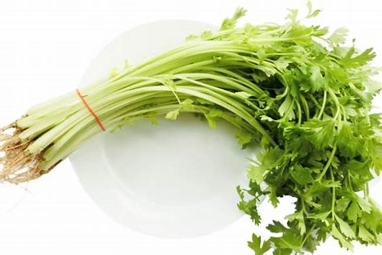 水稻作为主粮比小麦好到哪里