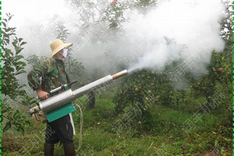 桃树什么时候适合追肥？用什么水溶肥好