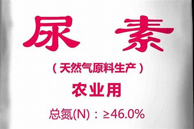 柿子树打药时间表