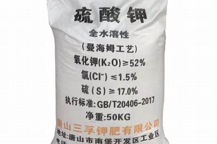 黄瓜浇水的正确方法