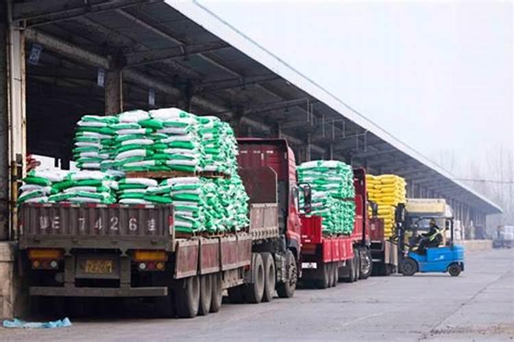 全国20强化肥厂在湖北建有生产基地的厂家有哪些？