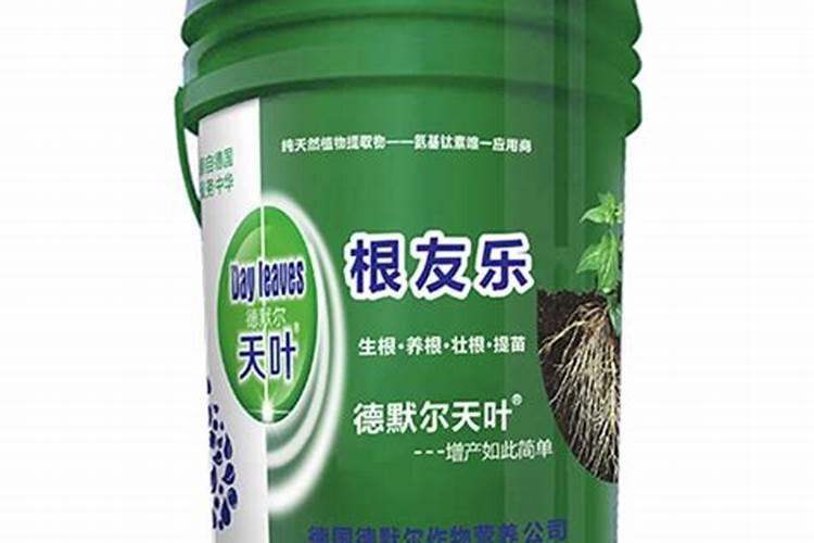 壳聚糖是什么？