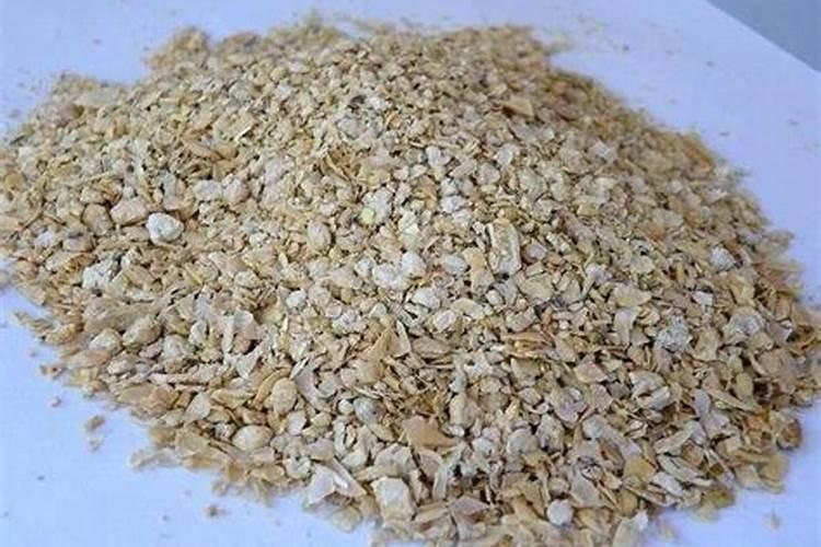 秋天如何给月季施豆粕肥料？