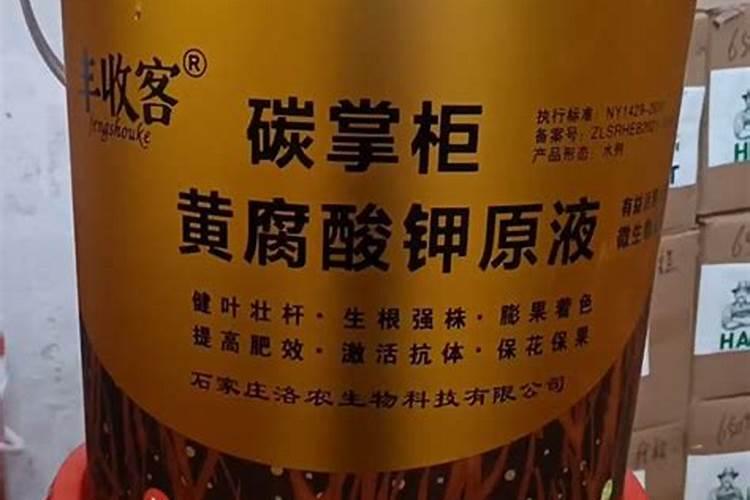 秋季梨树怎么施肥？遵循什么原则