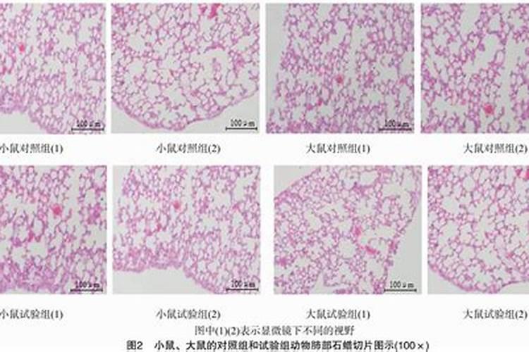 闪电的能力目前可以被利用么？
