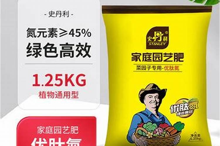 种菜前土地要先施肥吗