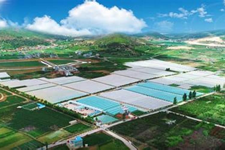 蔬菜叶面肥木醋液批发厂家