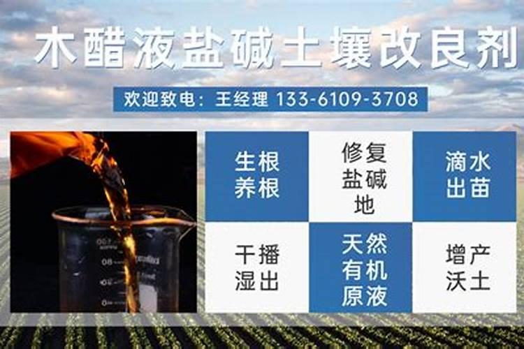 杨树的栽培和管理、