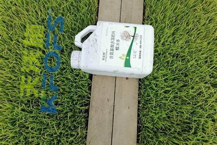 水溶肥摩力施能和农药起喷雾吗？还想加杀菌剂