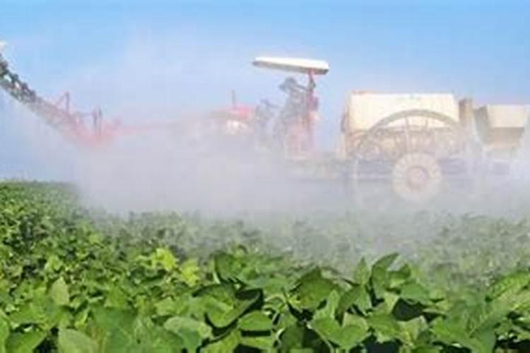 硫酸钙是不是一种很好的钙肥？