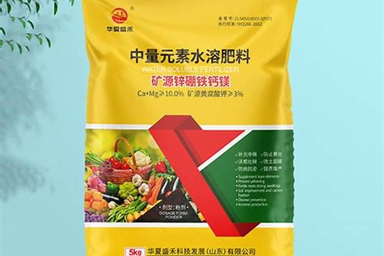 多肉植物施什么肥好