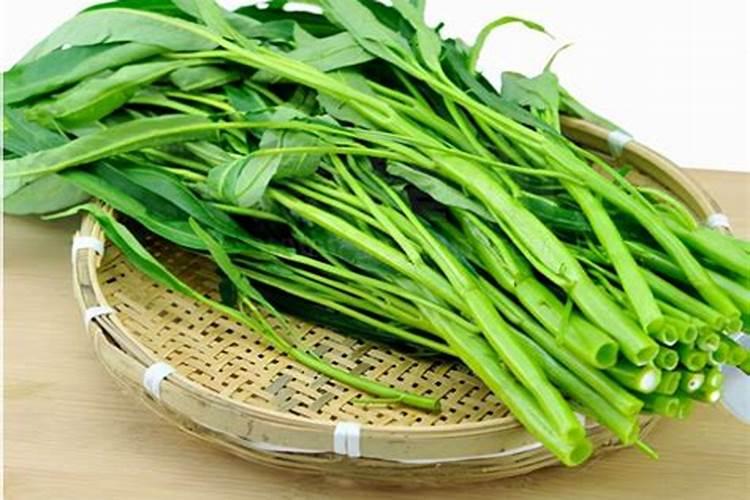 早春空心菜怎样合理施肥